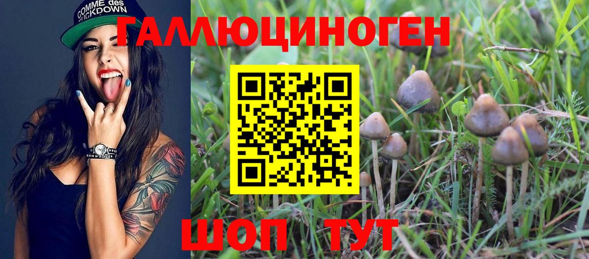 Мефедрон   ГАШ  A-PVP СОЛЬ кристаллы  Вход с VPN  ГАШИШ  NBOMe  Полевской  МАРИХУАНА 