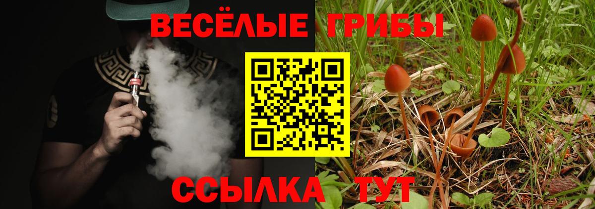 Полевской  Псилоцибиновые грибы прущие грибы  Вход с VPN 