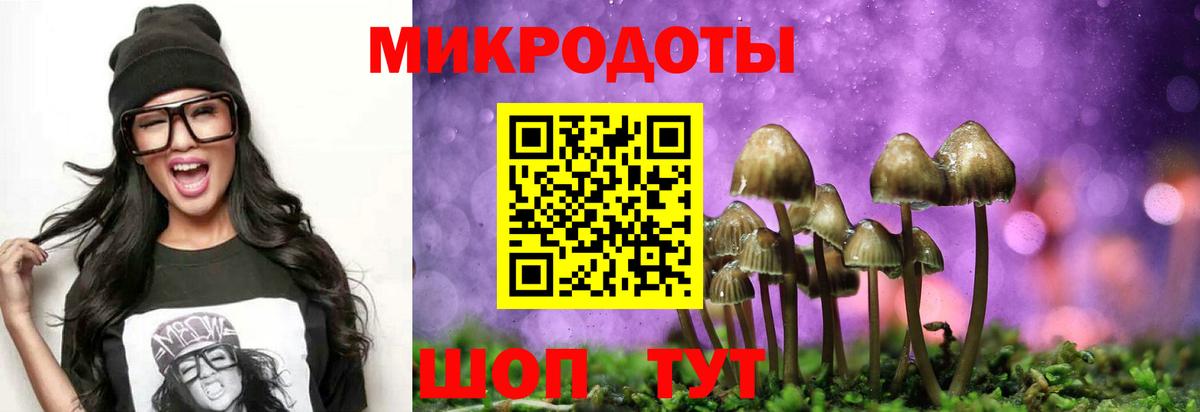 Галлюциногенные грибы мухоморы Полевской